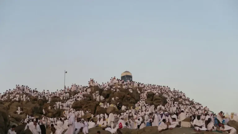 Hajj pilgrims gathered on Mount Arafat